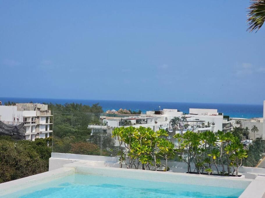 Kumaru Steps From The Playa del Carmen